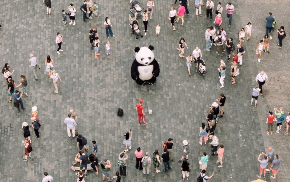 Aerial view of crowd surrounding panda street art